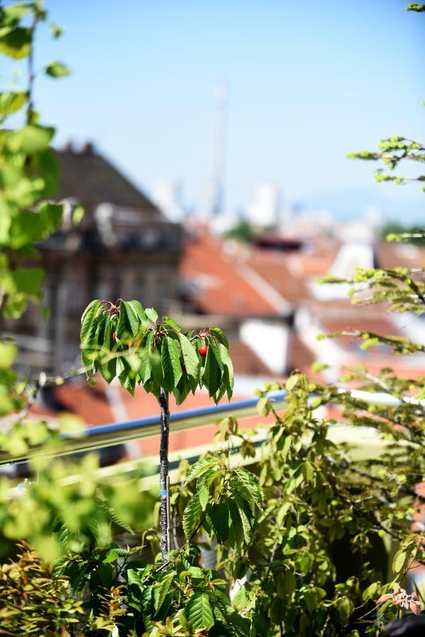 Rooftops Apartment Zagreb
